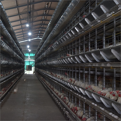 Plastic Tesla Series Layer Cages