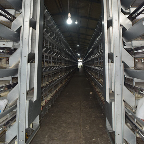 Plastic Tesla Series Layer Cages