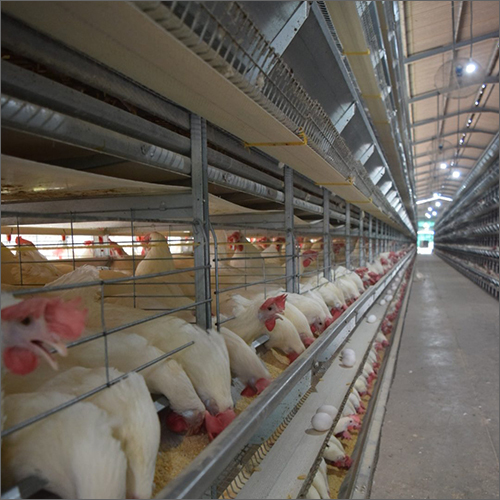 Plastic Capacity Feeder