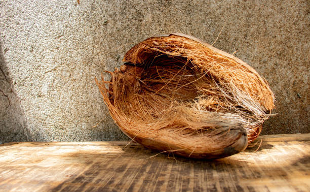 Coconut Coir Mattress Machine Plant