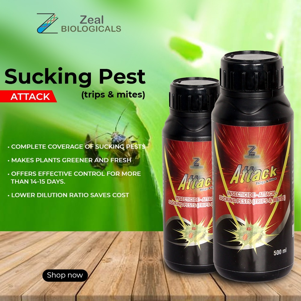 Thrips And Mites Insecticide Attack