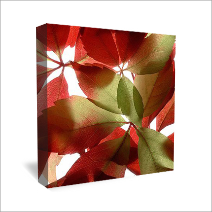 Canvas Art Tulip Paintings Medium: Acrylic
