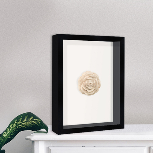 Polishing Shadow Box Frame