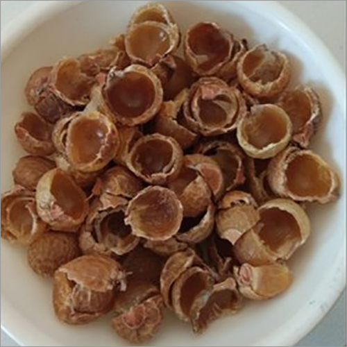 सीडेड सोप नट