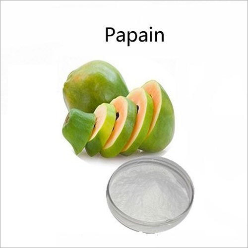 Solid Papain Enzyme
