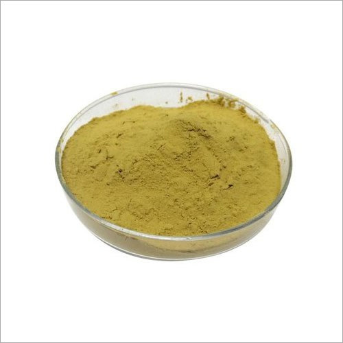 Powder Food Enzyme