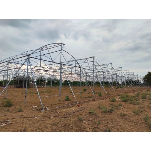 Greenhouse Turnkey Project Services