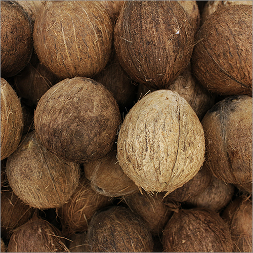 Organic Mature Coconut