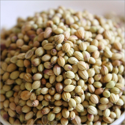 Coriander Seeds Grade: A