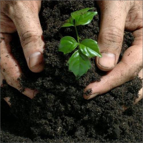 Organic Bio Fertilizer - Premium Natural Ingredients, Eco-Friendly Nutrient Blend for Sustainable Agriculture
