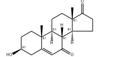 7-keto DHEA