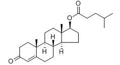 4-ANDROSTEN-17-BETA-OL-3-ONE ISOCAPROATE
