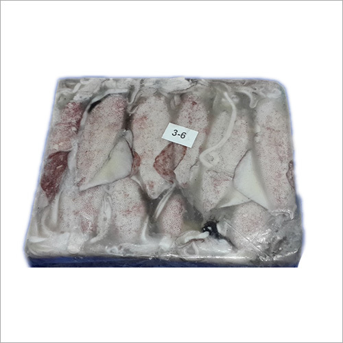Frozen Whole Squid Weight: As Per Requirement Kilograms (Kg)