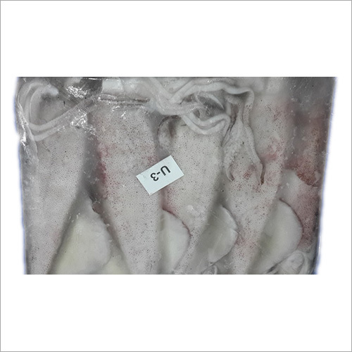 Frozen Whole Squid Weight: As Per Requirement Kilograms (Kg)