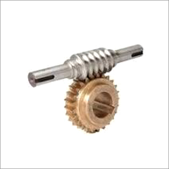 Golden Phosphor Bronze Worm Gear Size: Different Available