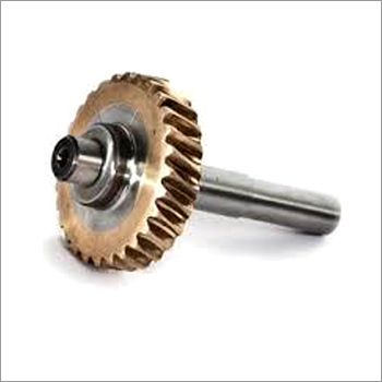 Golden Phosphor Bronze Worm Gear Size: Different Available