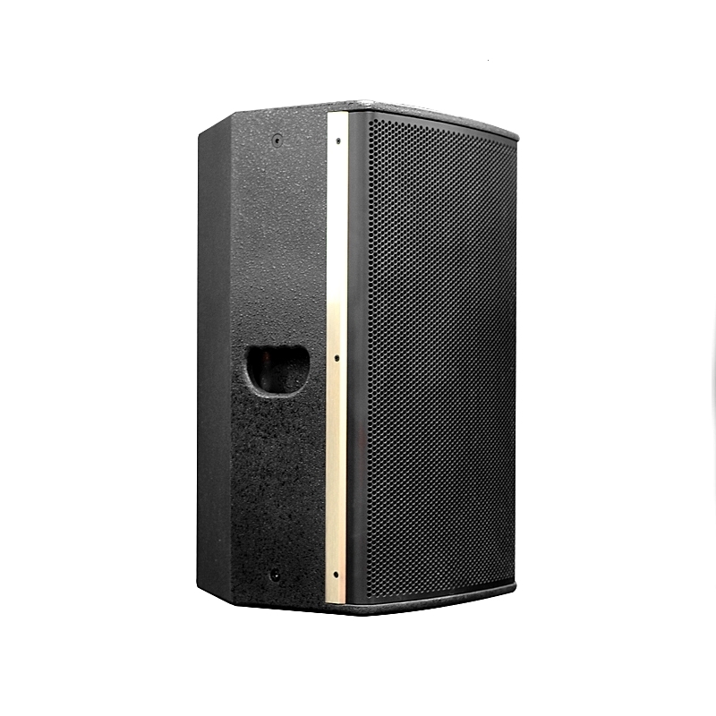 Ps Series Professional Speaker Cabinet Material: Plywooden