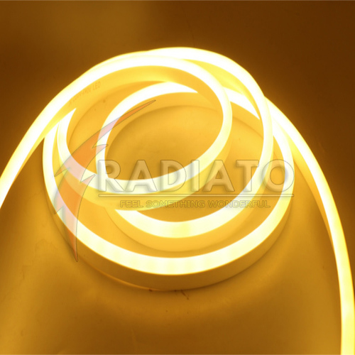 Neon Warm White Rope Light Light Source: Led