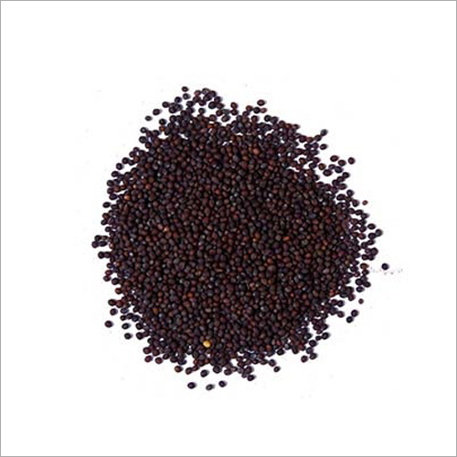 Black Mustard Seeds - Organic Grade A | Black Color, Custom Weight