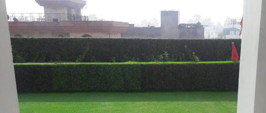 Artificial Grass - Curly Pvc Rectangle Design, Green Color | Durable, Eco-friendly Gardening Solution
