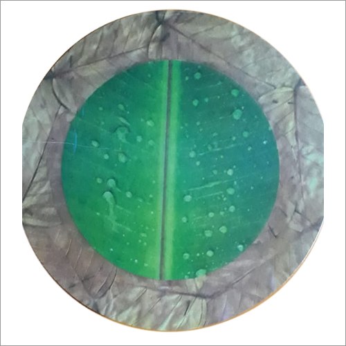 गोल केले सर्कल पेपर प्लेट