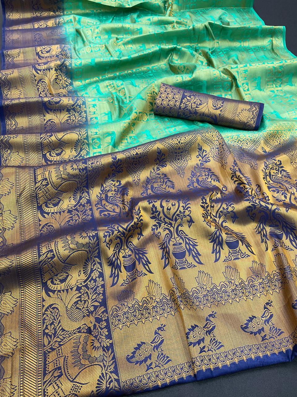 Indian Stylish Ladies Saree