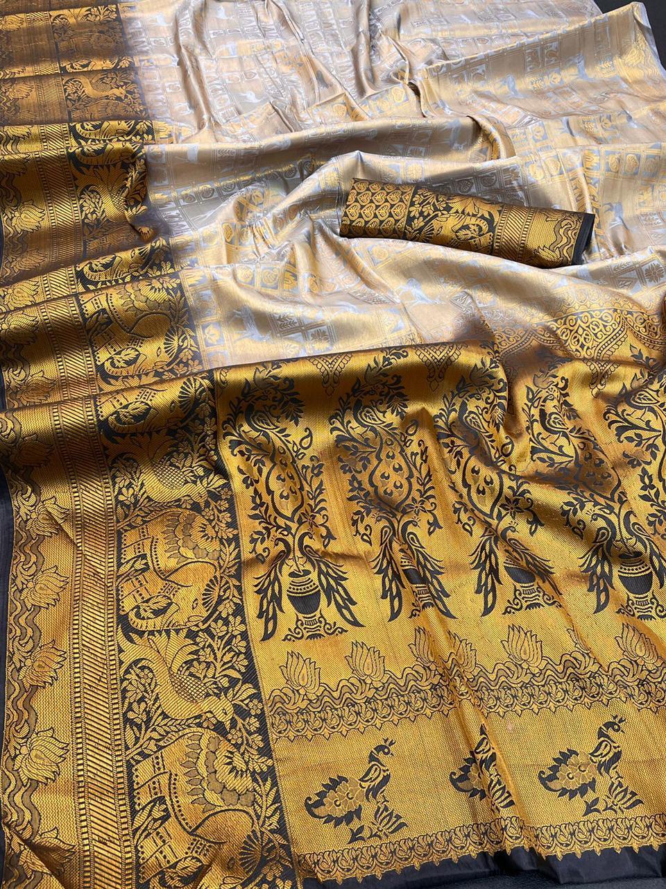 Indian Stylish Ladies Saree