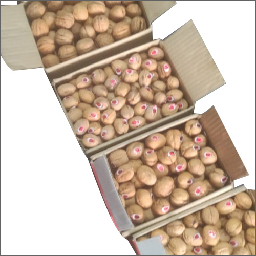 Whole Walnut - Grade A, Round Shape, 1 Year Shelf Life | Naturally Sweet Whole Walnut with Exceptional Flavor and Freshness