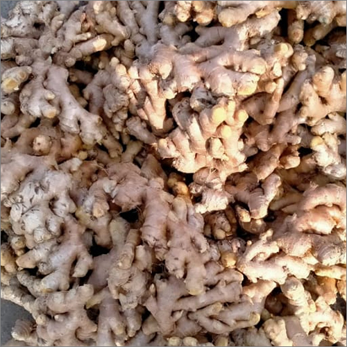 प्राकृतिक ताजा अदरक