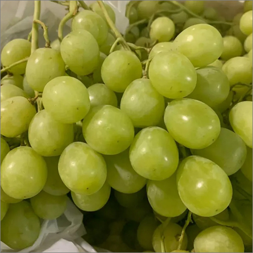 Green Grapes - Fresh, Natural Size | Sweet Flavor, Vibrant Green Color