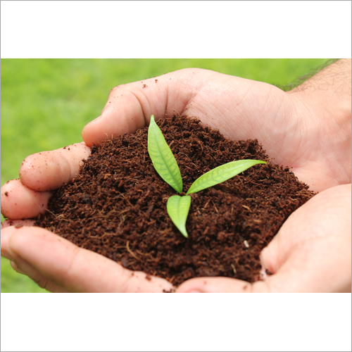 Coco Peat Powder - Eco-friendly Organic Filling Material, Ideal For Seed Starting And Soil Amendment | Versatile Use In Rugs, Ropes, Brushes, And Hydroponic Production