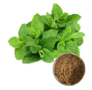 Peppermint extract