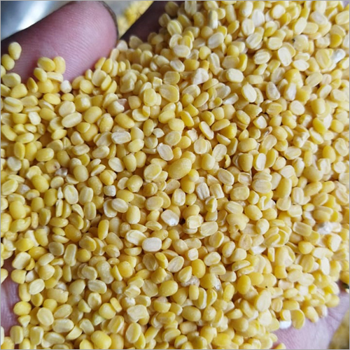Moong Dhuli Dal - Lentil, Small Size, Yellow Color | High Protein, Easy to Cook, Versatile Use, Rich in Fiber, Good Source of Iron