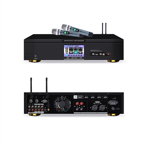 Professional Karaoke Amplifier