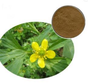 Cats claw extract (Catclaw extract)