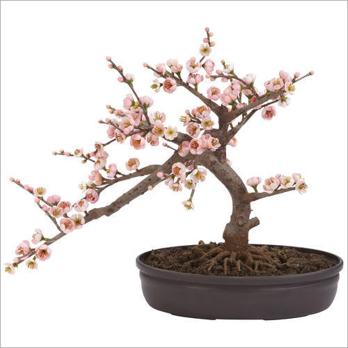 Artificial Bonsai Tree - 2 mm Pink Plastic | Free Form Home Decoration