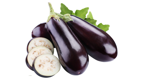 ताजा बैंगन