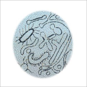 सैक्रोमाइसेस बोलार्डी पाउडर सामग्री: रसायन