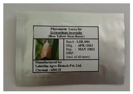 राइस स्टेम बोरर-स्क्रिपो ल्यूर-फ़नल ट्रैप