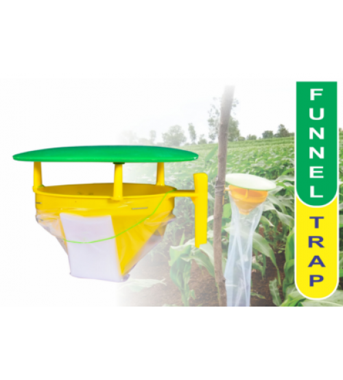 Rice Stem Borer-scirpo Lure-funnel Trap