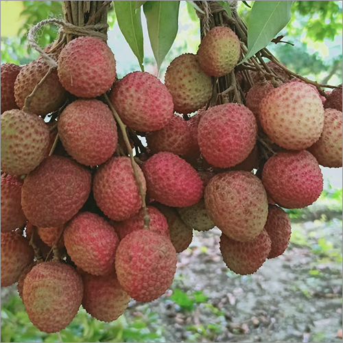 Red Natural Litchi