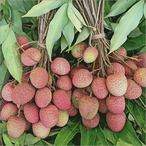 Red Natural Litchi