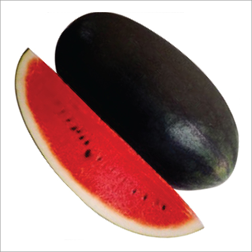 Watermelon Seeds F1 Lal Badshah Grade: A