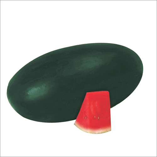 Thai Box F1 Watermelon Seeds Grade: A