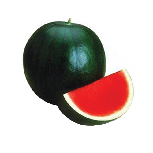 Sv Ball 9 F1 Watermelon Seeds Grade: A