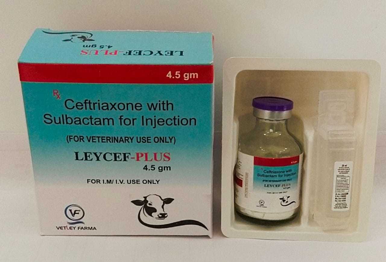 Ceftriaxone And Sulbactam Injection For Veterinary Use Ingredients: Chemicals