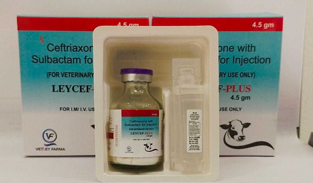 Ceftriaxone And Sulbactam Injection For Veterinary Use Ingredients: Chemicals