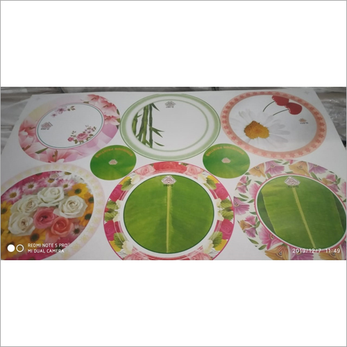 Duplex Printed Paper Plates Rawmatrial - Feature: High Quality