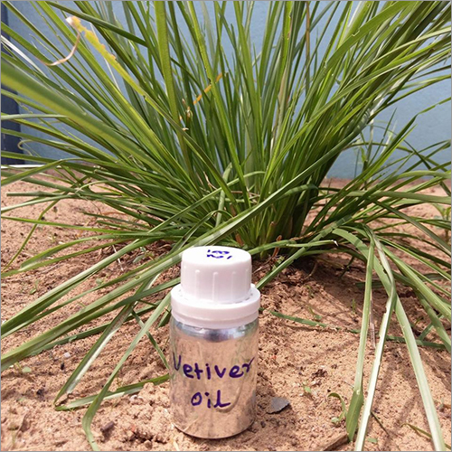 प्राकृतिक वेटिवर ऑयल