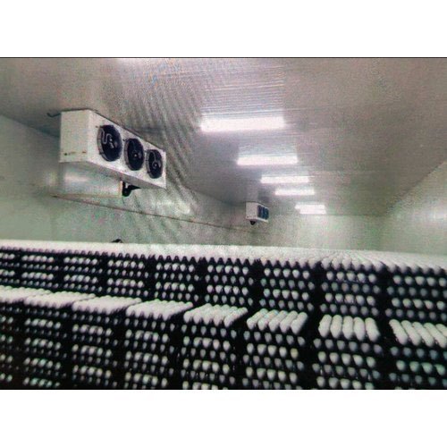 अंडों के भंडारण के लिए कोल्ड स्टोरेज वेयरहाउस स्पेस